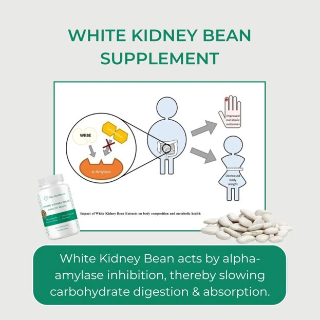 white-kidney-bean-supplement-mechanism
